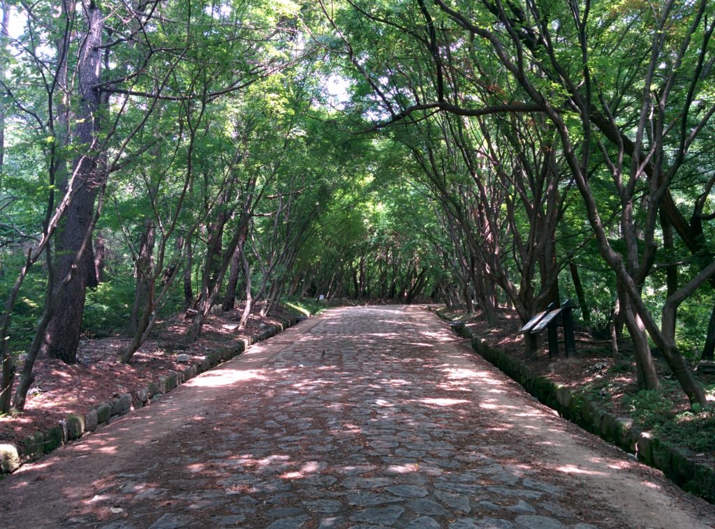 Gyeongju In Four Seasons: Bulguksa Temple