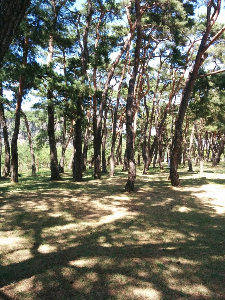 Andong Hahoe Folk Village