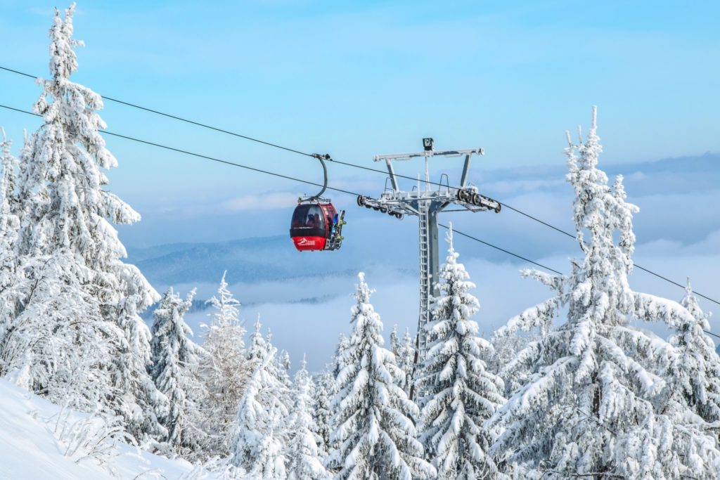 fun things to do in korea: Skiing and Snowboarding in Vivaldi Park South Korea