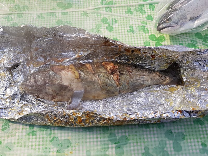 Hwacheon Ice Fishing Festival Grilled Trout