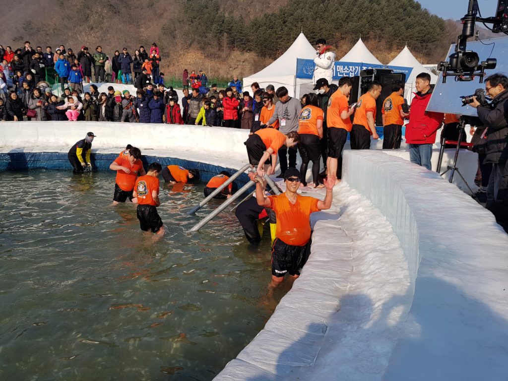 Hwacheon Ice Fishing Festival Bare Hand Competition