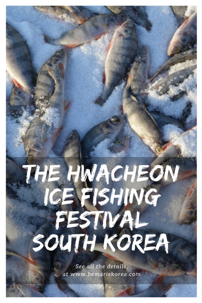 Hwacheon Ice Fishing Festival South Korea