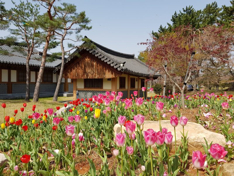 what to do in seoul in march