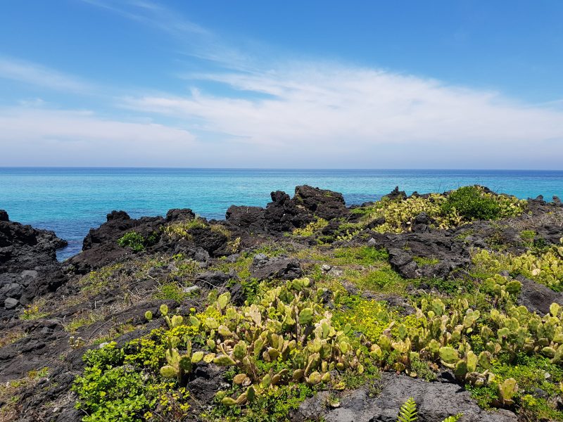 jeju 3d2n itinerary
