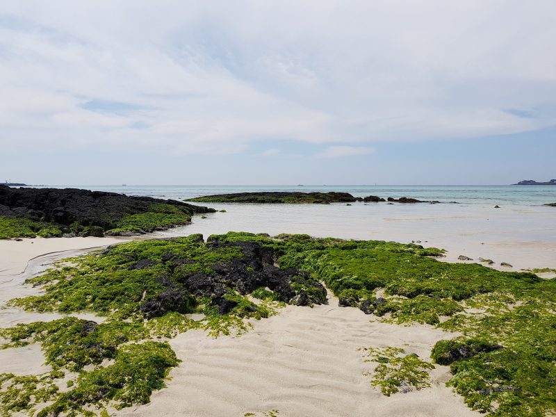 seoul and jeju itinerary