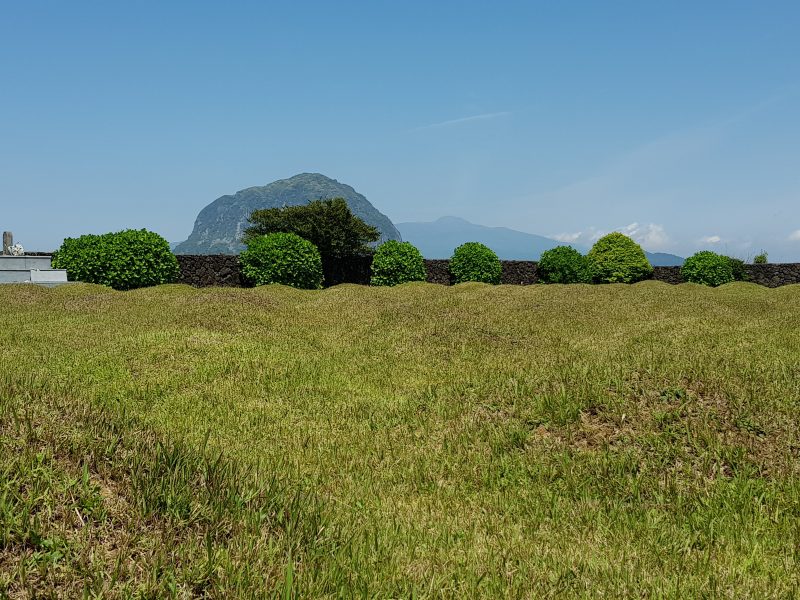 Jeju City Hotels