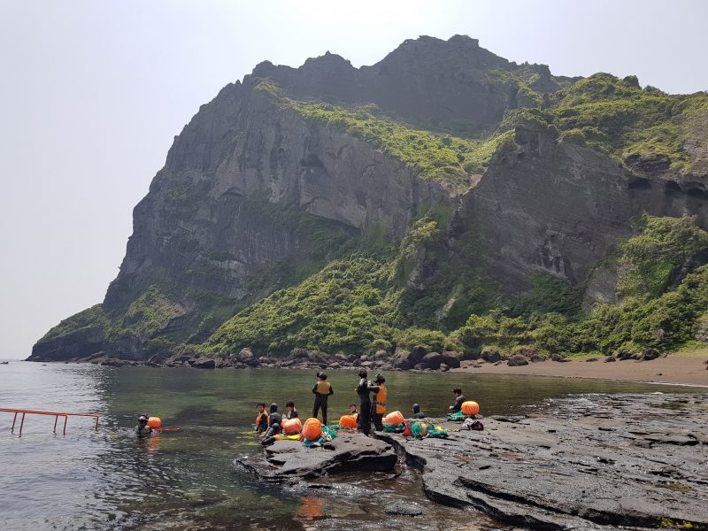 cheap guesthouse in Jeju.