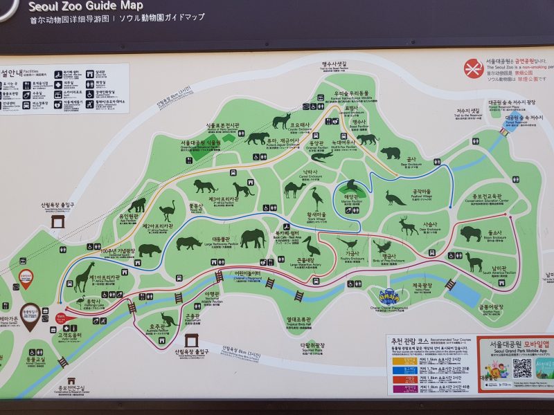 seoul zoo with kids