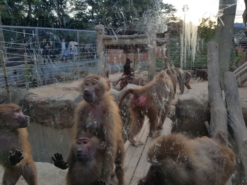 best things to do in seoul with kids