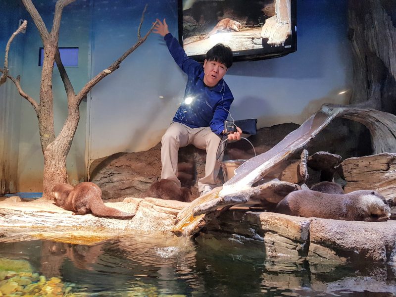 aquariums in seoul for kids