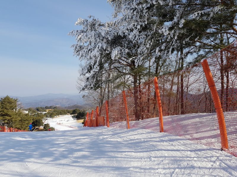 snow in south korea