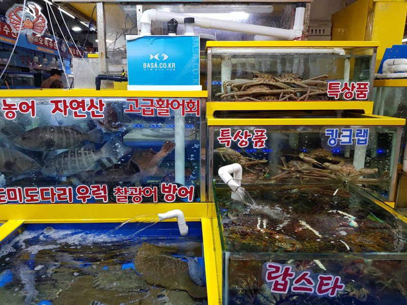 garak fish market