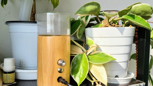 oil diffuser korea