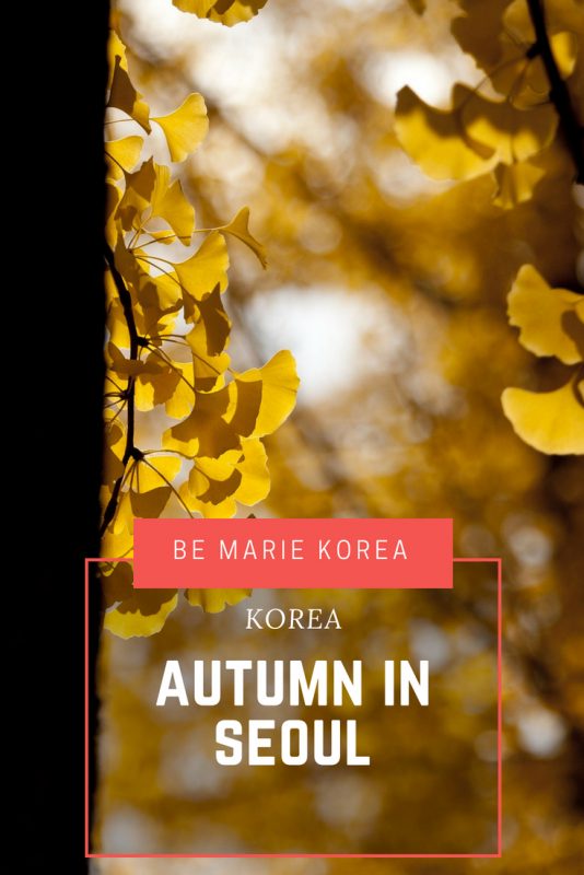 autumn season in korea