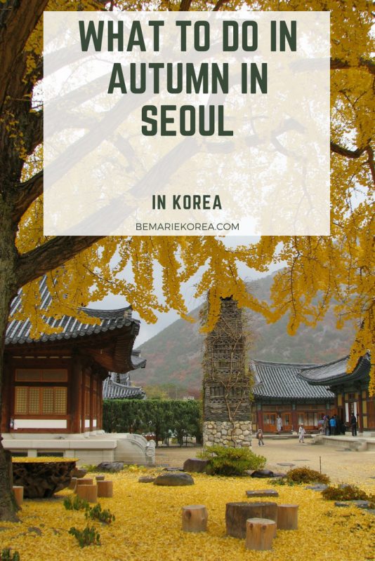 autumn leaves korea