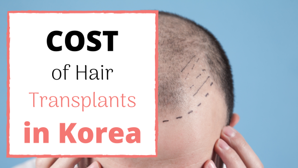 hair transplant cost korea