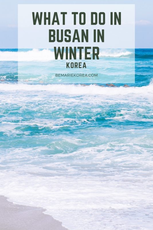 busan in january