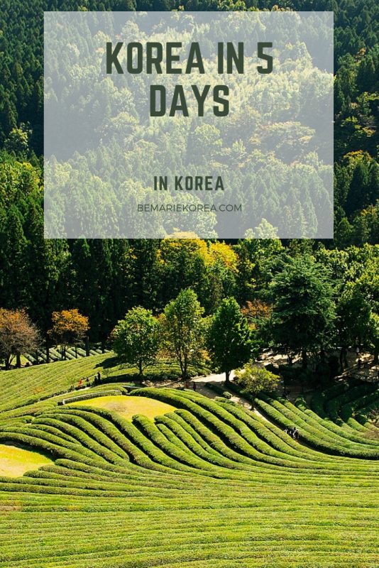 5 days 4 nights korea