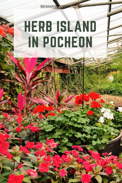 plant garden pocheon