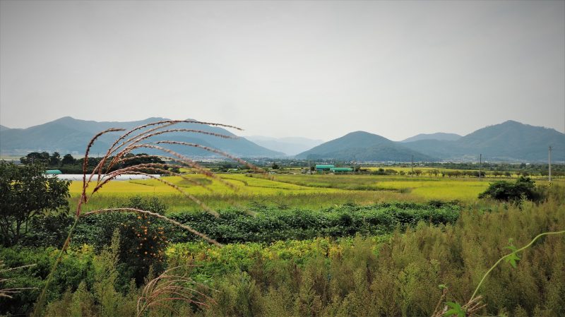 gyeongju national park