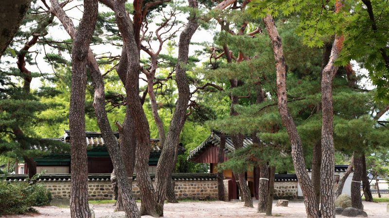gyeongju city tour
