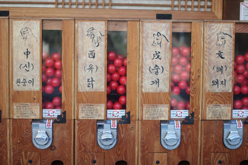 what to do in jeonju