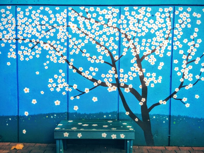 things to do in daegu in winter