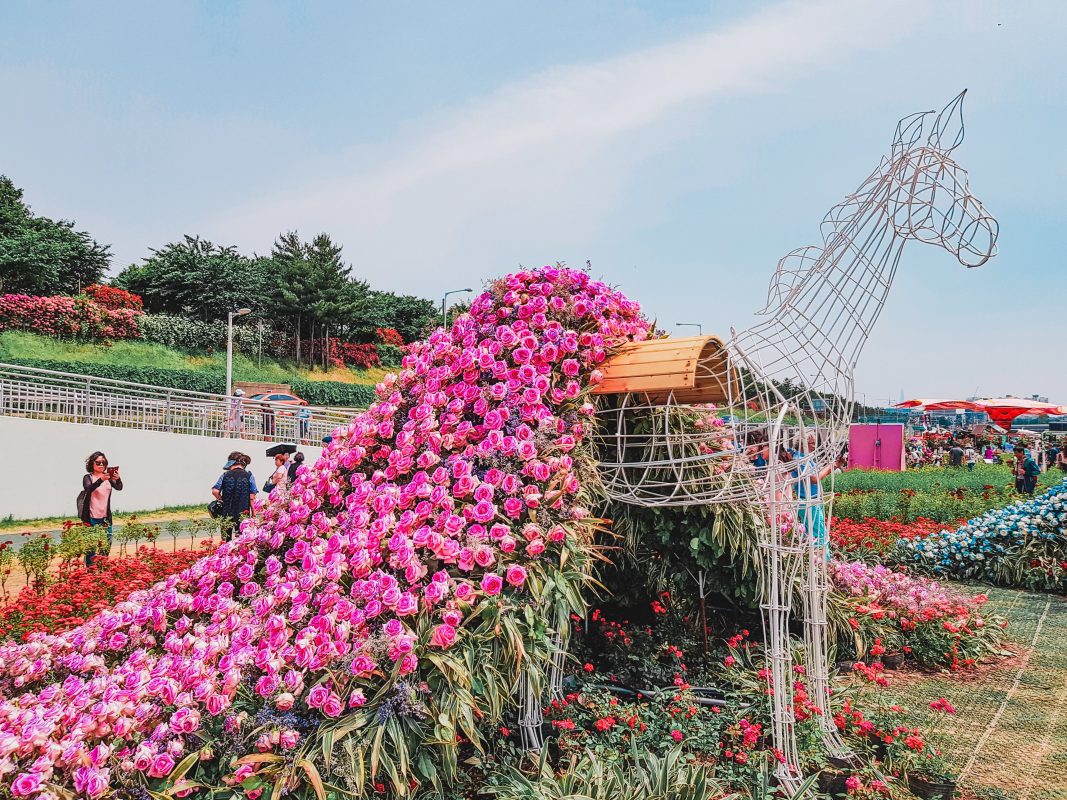 instagrammable places in Seoul
