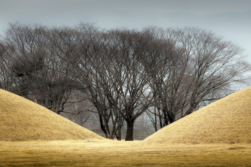tumuli park gyeongju south korea