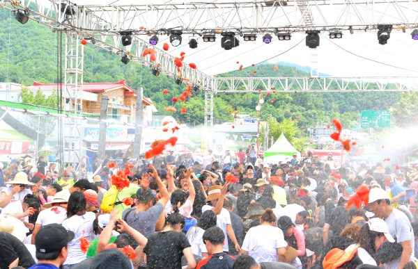 hwacheon tomato festival korea