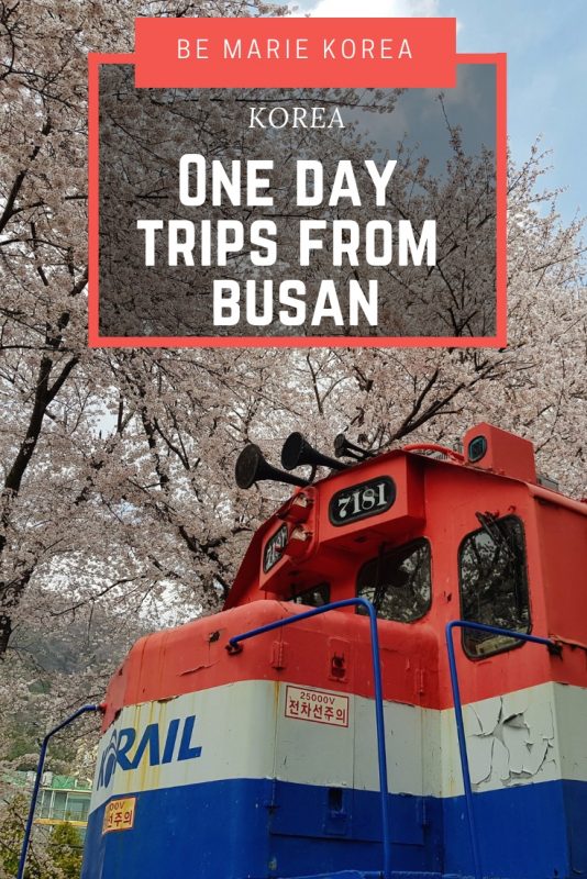 day tour from busan