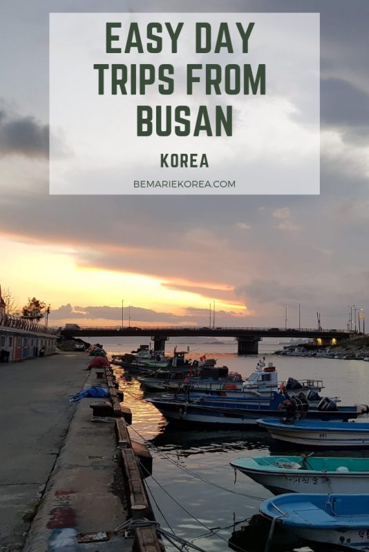busan to gyeongju day trip