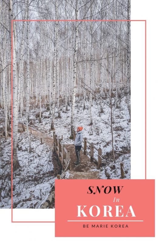 does it snow in seoul in january