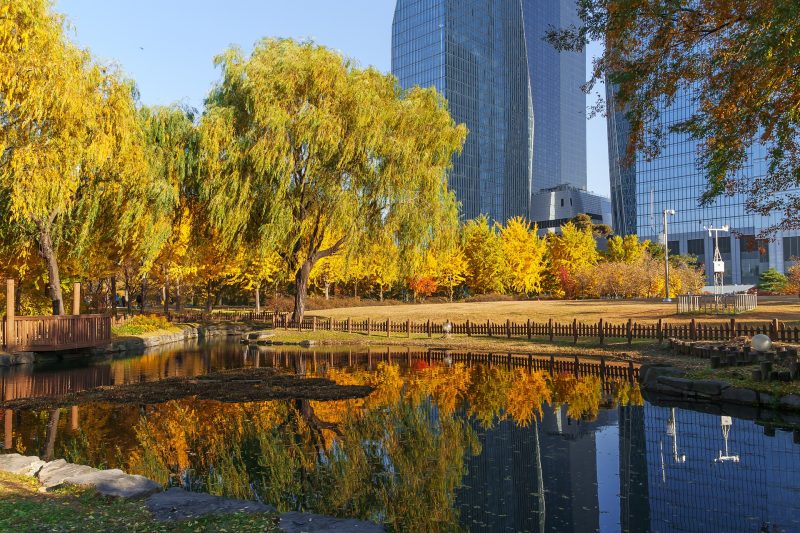 places to visit in korea during autumn
