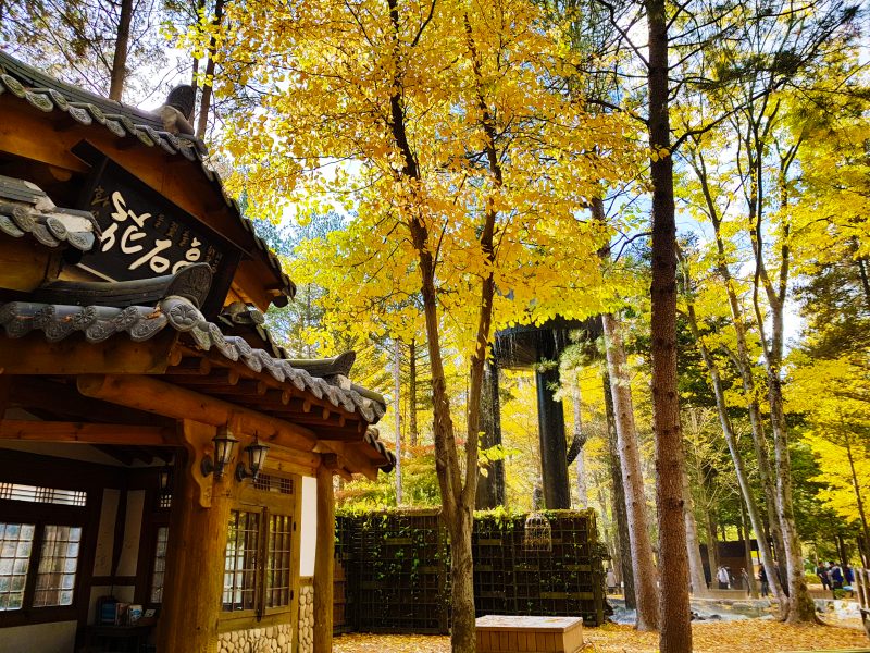 itinerary seoul 7 days
