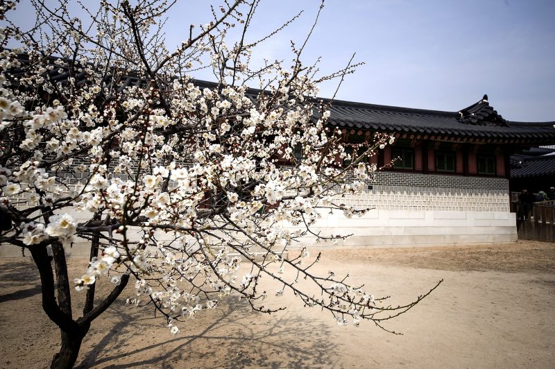 how many days in seoul