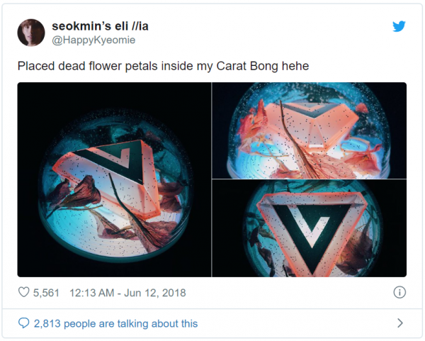 seventeen lightstick