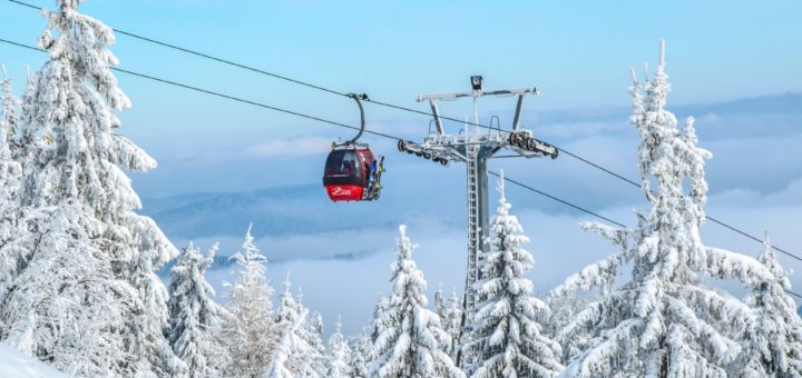 fun things to do in korea: Skiing and Snowboarding in Vivaldi Park South Korea