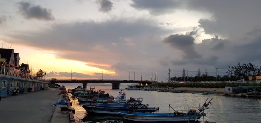 day trips from busan