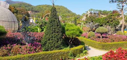 pocheon herb island
