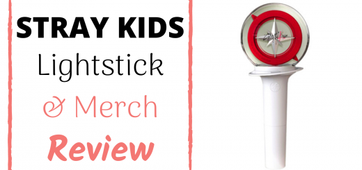stray kids lightstick