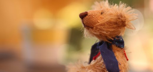 teddy bear museum korea