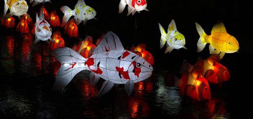 The Best Festivals In South Korea