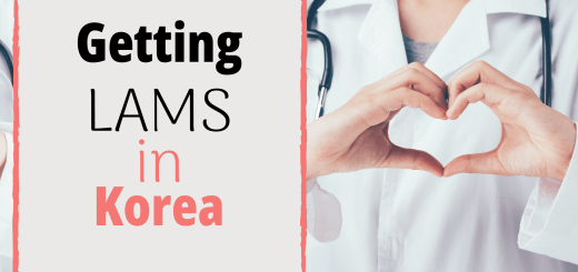 lams korea
