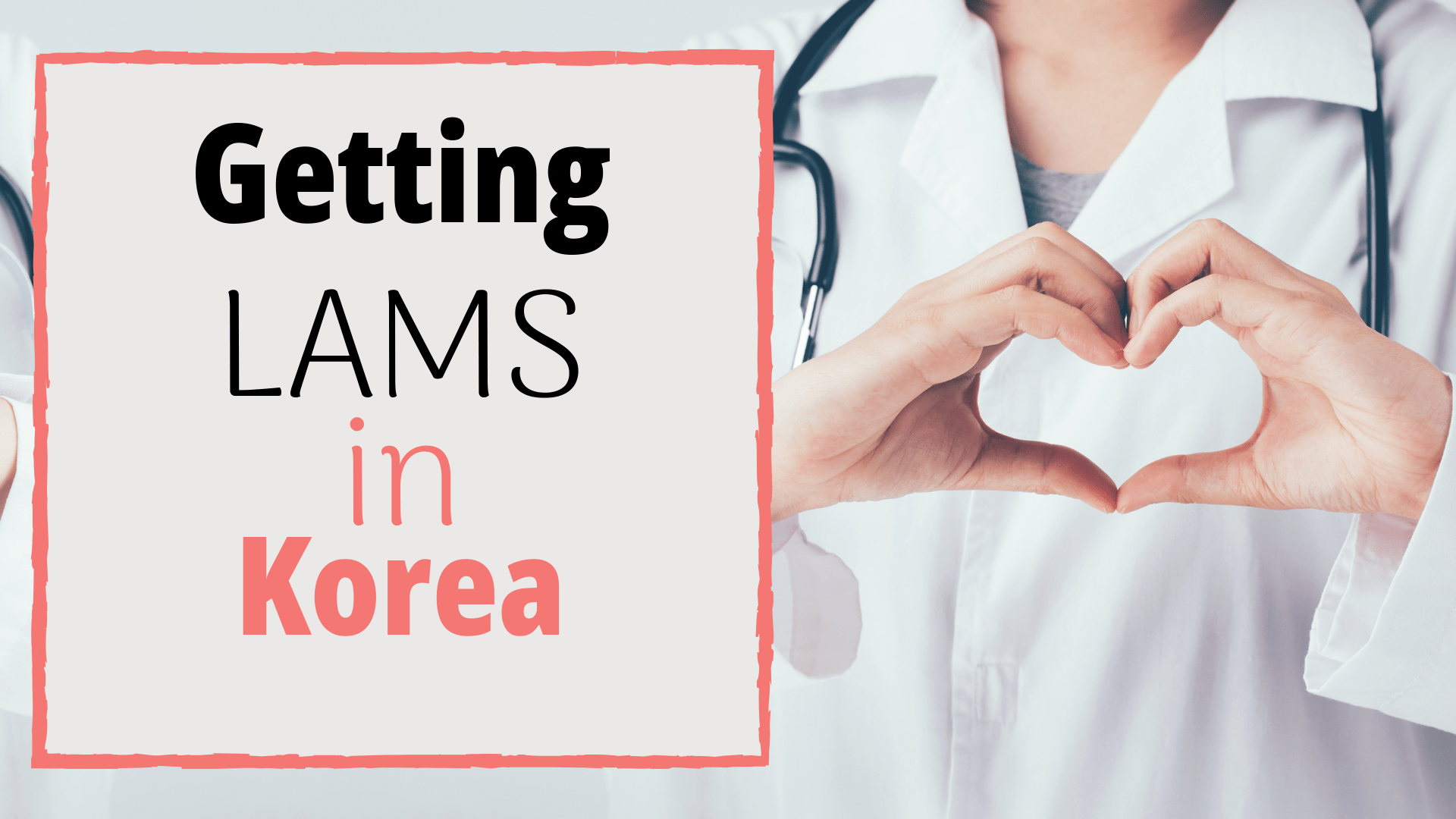 Getting LAMS in Korea | Everything You Need To Know About Fat ...