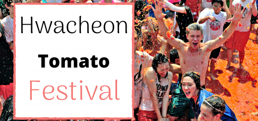 hwacheon tomato festival